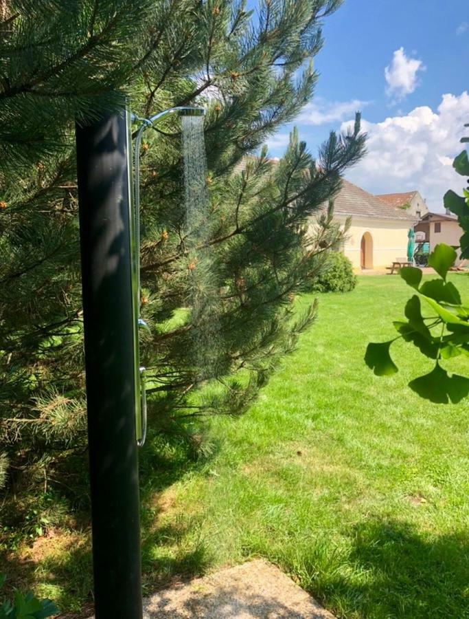 Apartmanove Ubytovanie Pod Dubom Polny Kesov Екстериор снимка